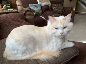 Photo of George