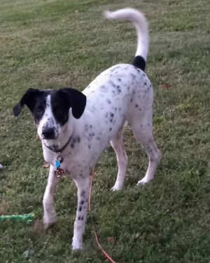 Photo of Bella
