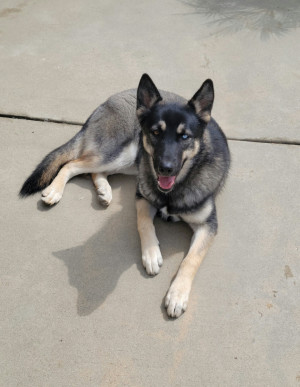 Photo of Harlee