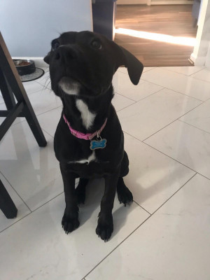 Photo of Luna 