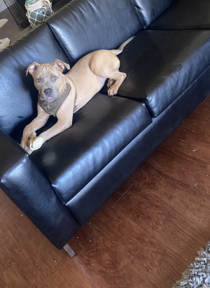 Photo of Blue