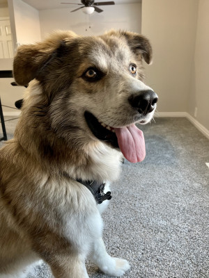Photo of Hiro 