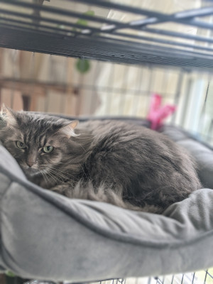 Photo of Duchess
