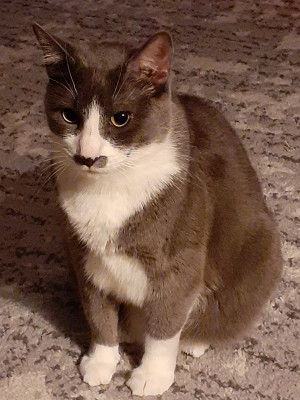 Photo of Loui