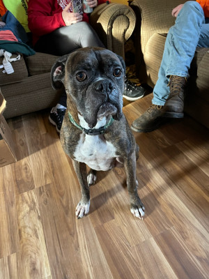 Photo of Max