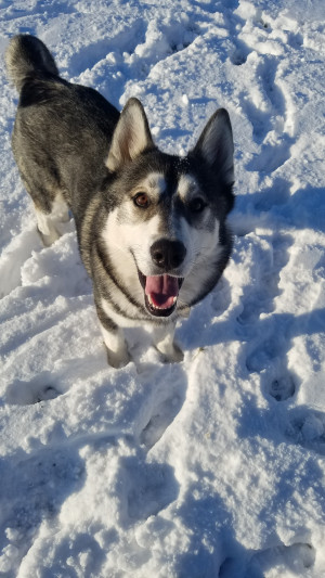 Photo of Ripley