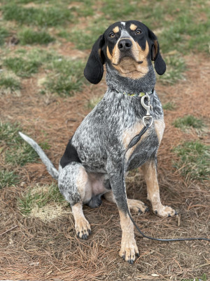 Photo of Lefty