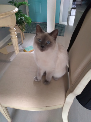 Photo of Sophie