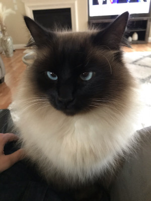 Photo of Charlie