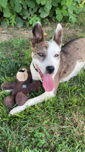 Photo of Junie