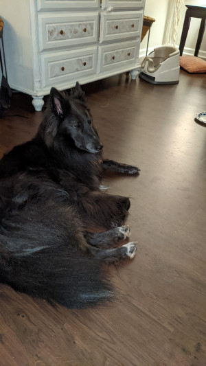 Photo of Wednesday
