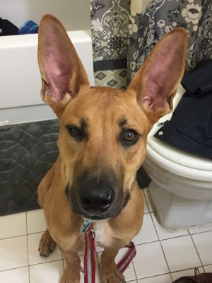 Photo of Sasha