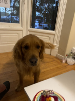 Photo of Max