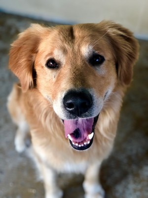Photo of Nolan