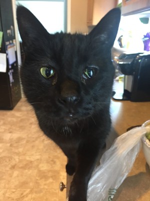 Photo of Butters