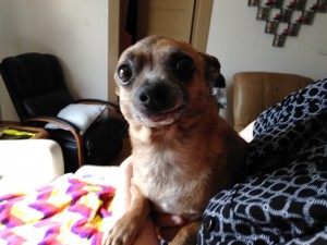 Photo of Duke