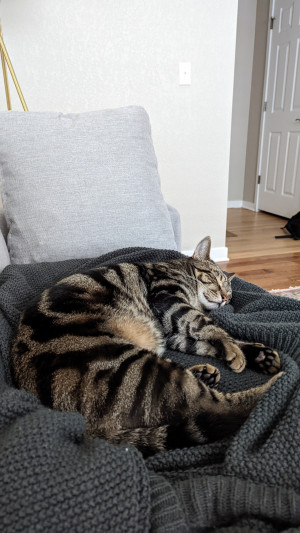 Photo of Diego