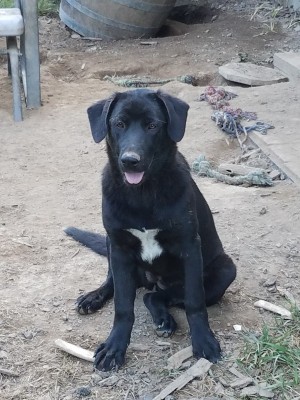 Photo of Maggie