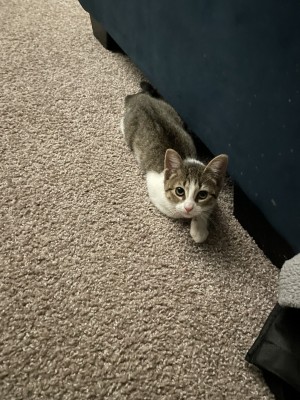 Photo of Canyon