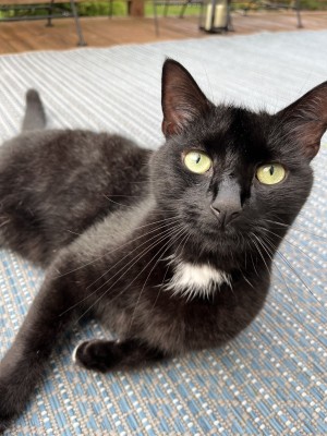 Photo of Simon