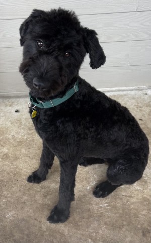 Photo of Quincy
