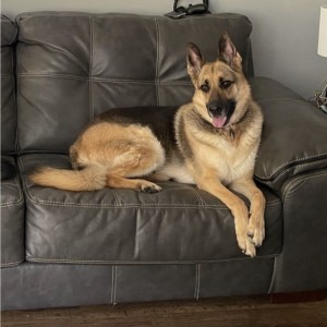 Photo of Kona