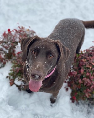 Photo of Retta