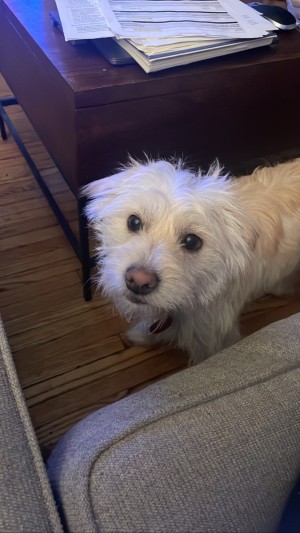 Photo of Bobby