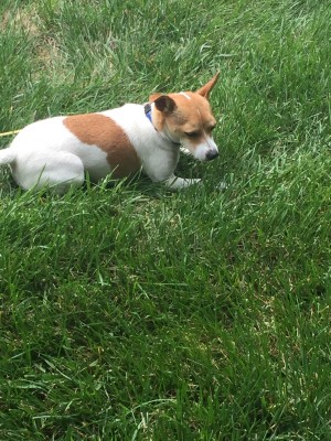 Photo of Lexi