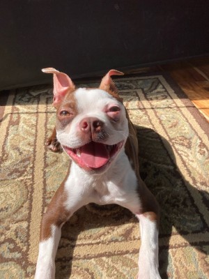 Photo of Freddy