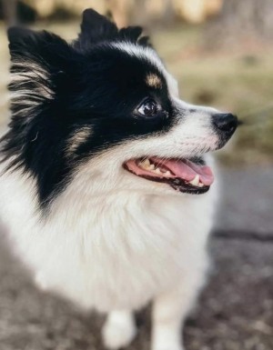 Photo of Navi