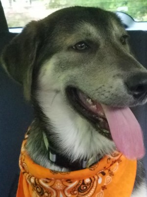Photo of Grayson