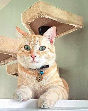 Photo of Tai