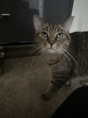 Photo of Hazel