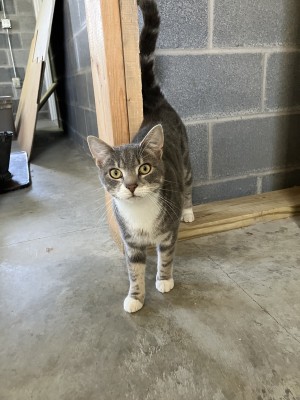 Photo of Lulu