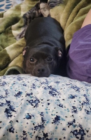 Photo of Sprout