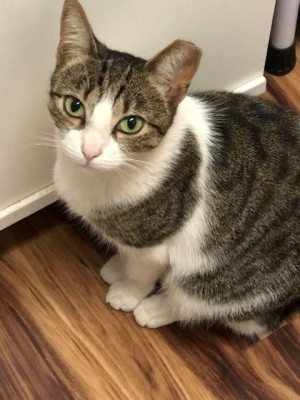Photo of Zoe