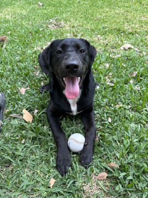 Photo of Luna