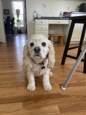 Photo of Nikki