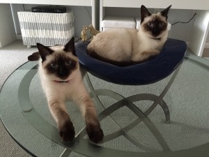 Photo of Emma And Lily
