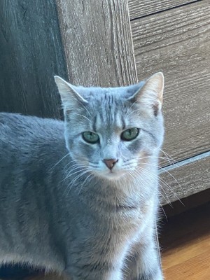 Photo of Luna