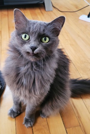 Photo of Olivia