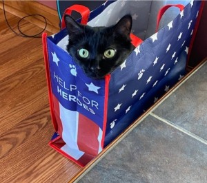 Photo of Binky