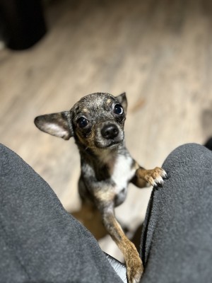 Photo of Baylee