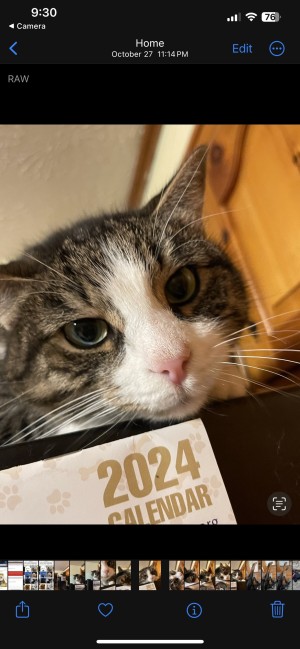 Photo of Tom