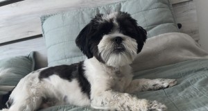 Photo of Peter