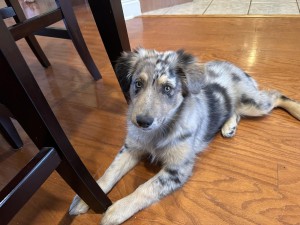 Photo of Hazel