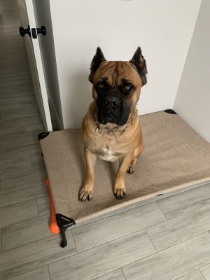 Photo of Zeus