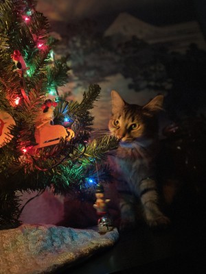 Photo of Chupa
