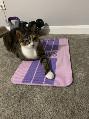 Photo of Zoey